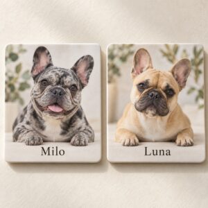 Two Frenchie photo magnet design examples: merle Milo and fawn Luna with personalized names